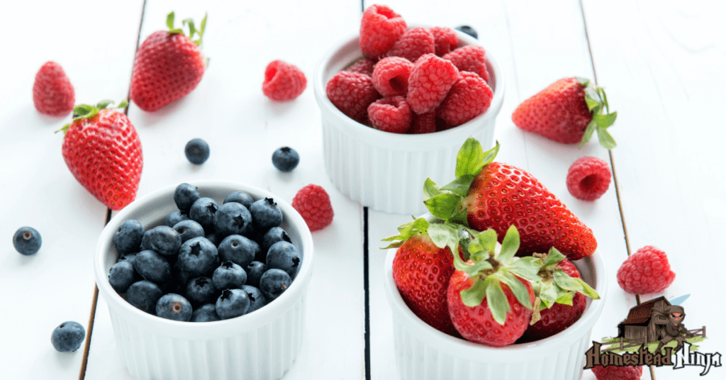 Can Chickens Eat Strawberries And Raspberries?