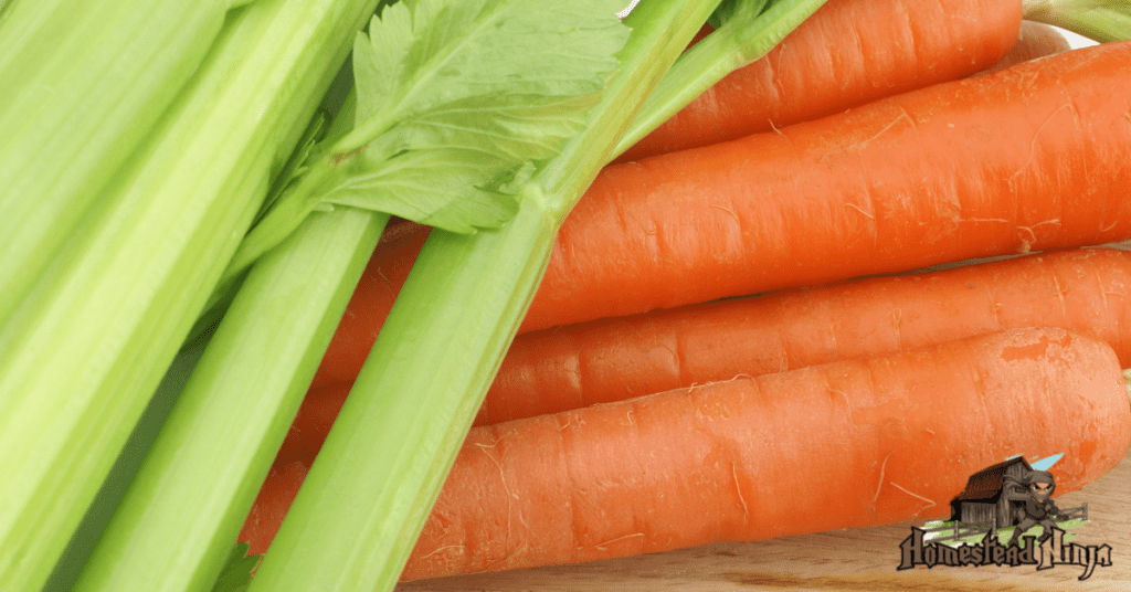 Do Chickens Like Celery And Carrots?
