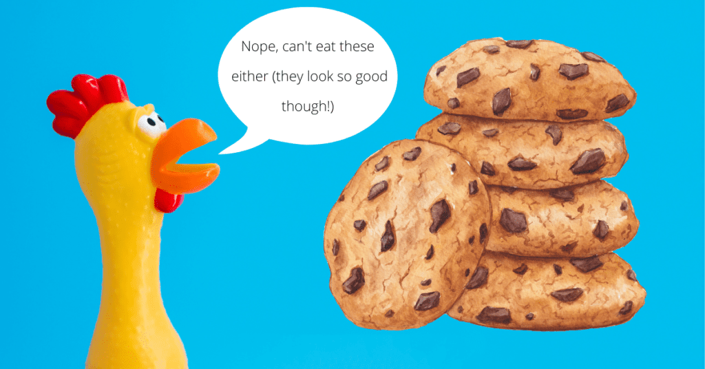 Can Chickens Eat Chocolate Chip Cookies?
