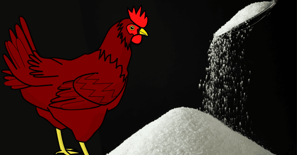 Can Chickens Eat Sugar?