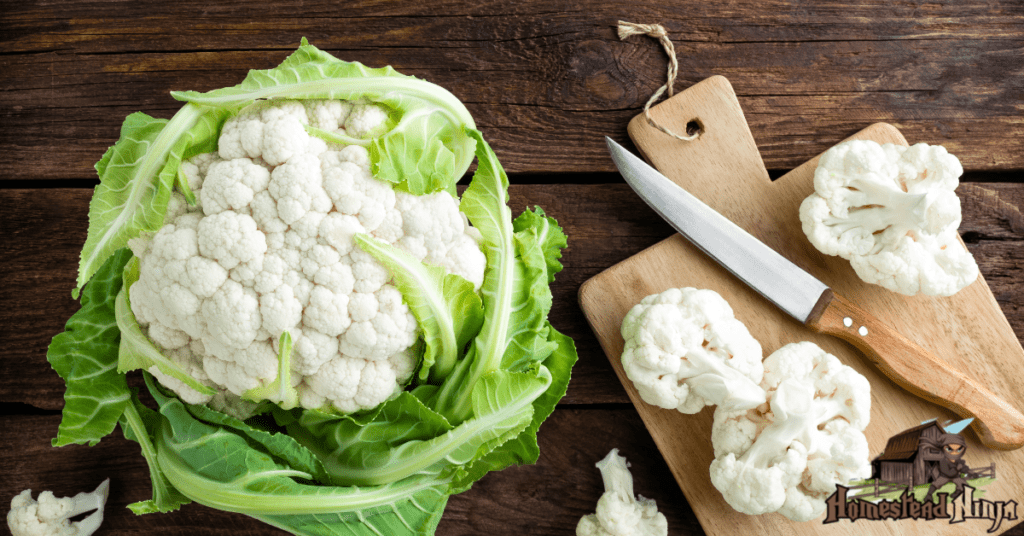 Can Chickens Eat Whole Cauliflower?