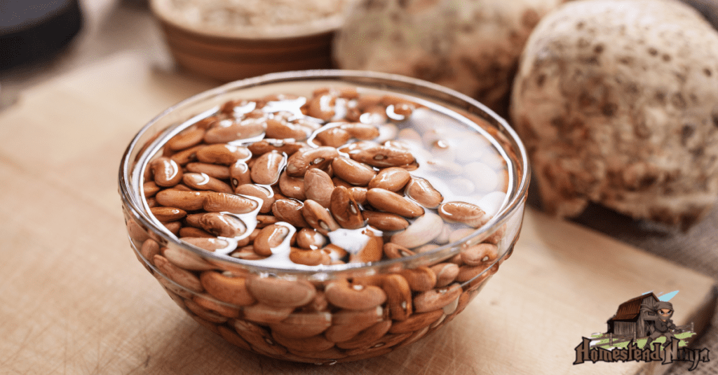 Canning Soaked Dried Beans