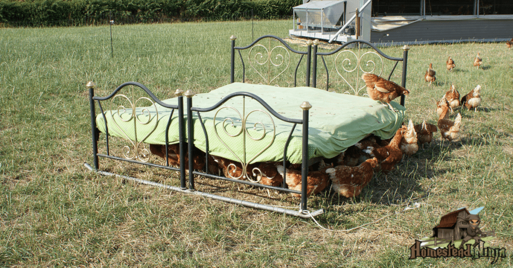 How Do You Use Coffee Grounds For Chicken Bedding?