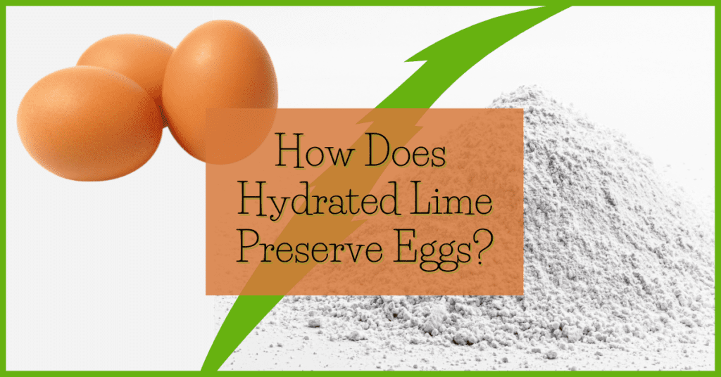 How Does Hydrated Lime Preserve Eggs?