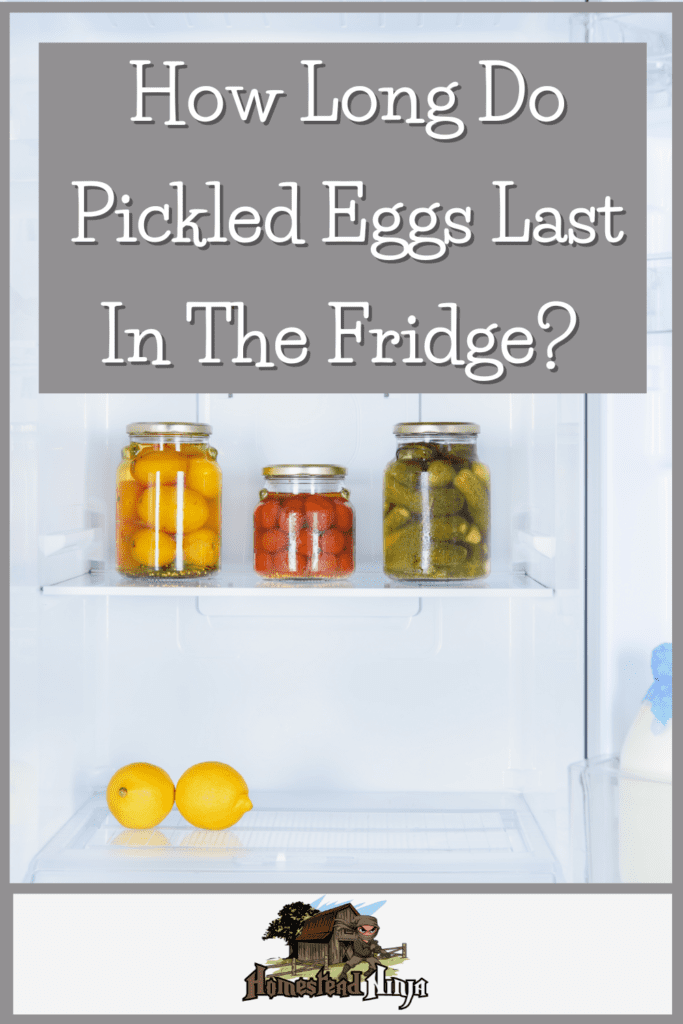 How Long Do Pickled Eggs Last In The Fridge - Pinterest