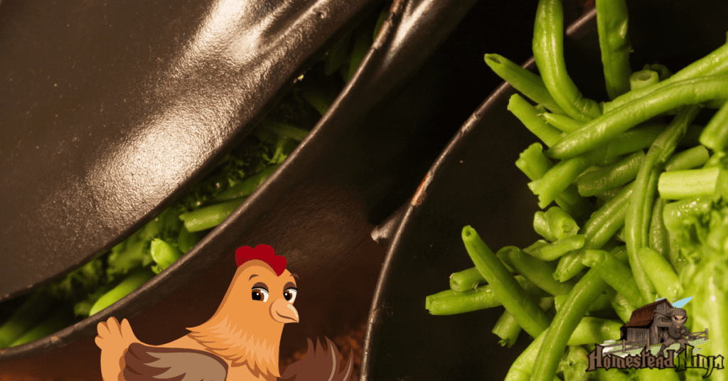 How To Feed Chickens Beans