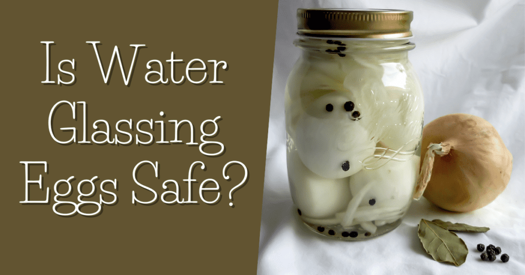 Is Water Glassing Eggs Safe?