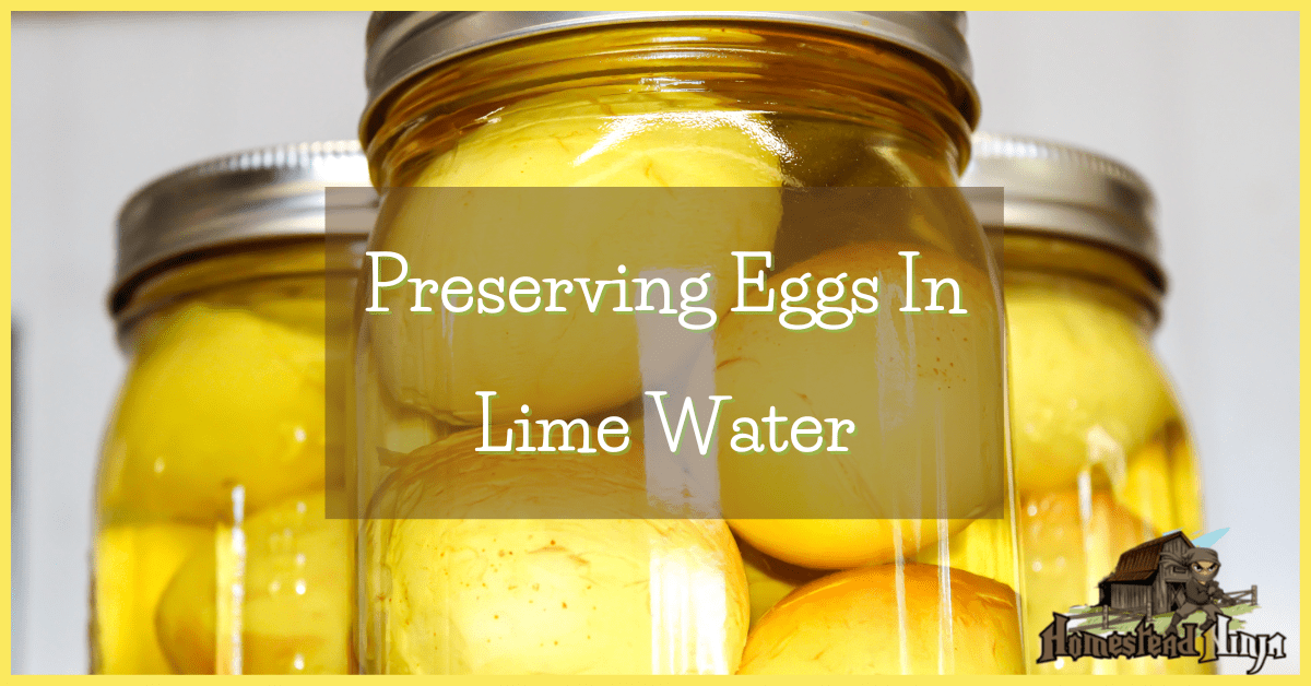 Preserving Eggs In Lime Water