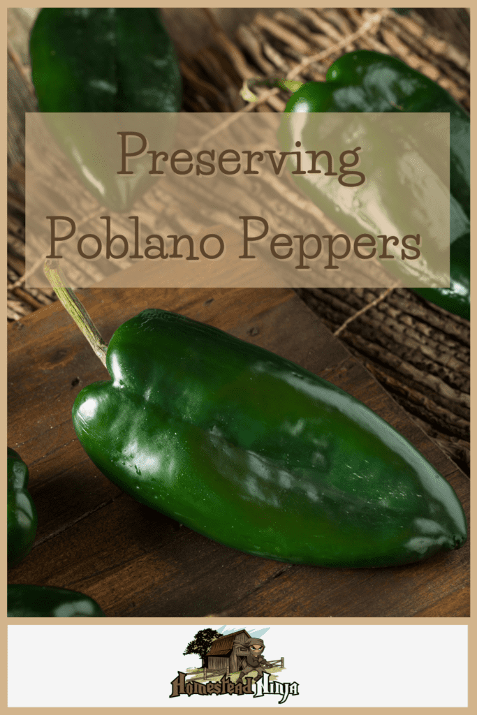 Preserving Poblano Peppers - Pinterest
