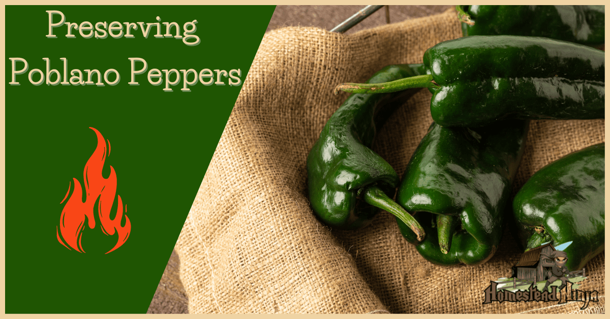 Preserving Poblano Peppers