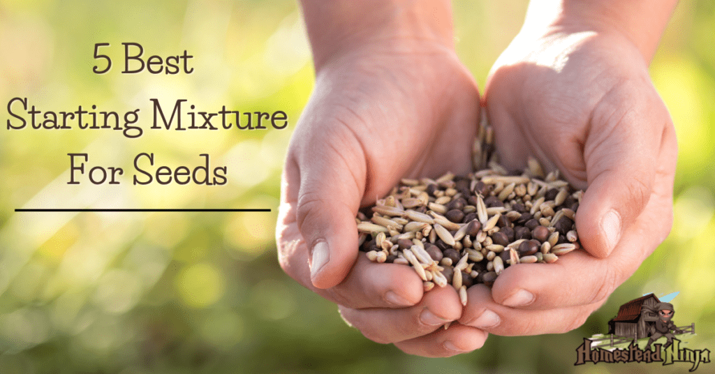 5 Best Starting Mixture For Seeds