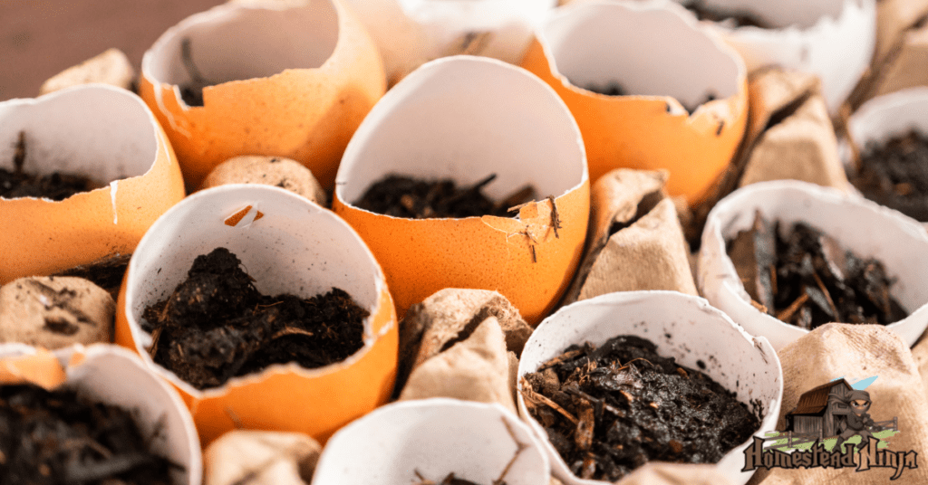Are Egg Cartons Good For Starting Seeds?