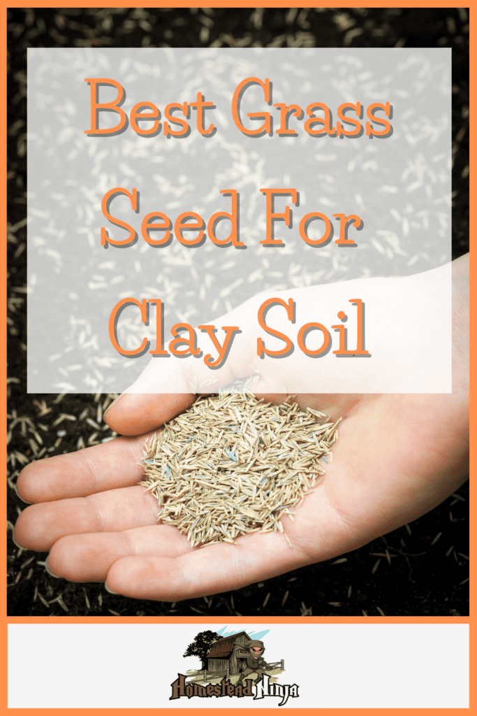 Best Grass Seed For Clay Soil - Pinterest