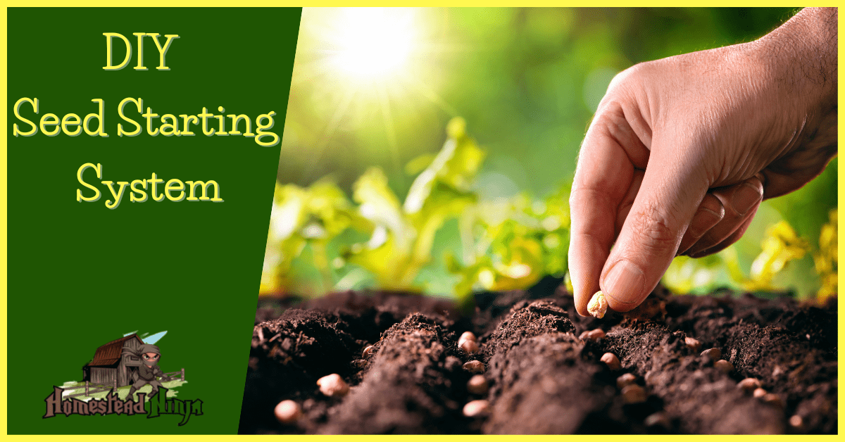 DIY Seed Starting System