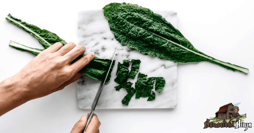 How Do You Trim Kale?