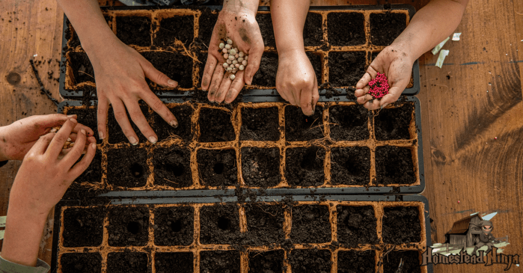 What Is The Cheapest Way To Start Seeds Indoors?