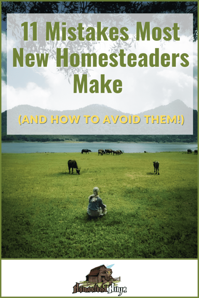 11 Mistakes Most New Homesteaders Make (and how to avoid them) - Pinterest