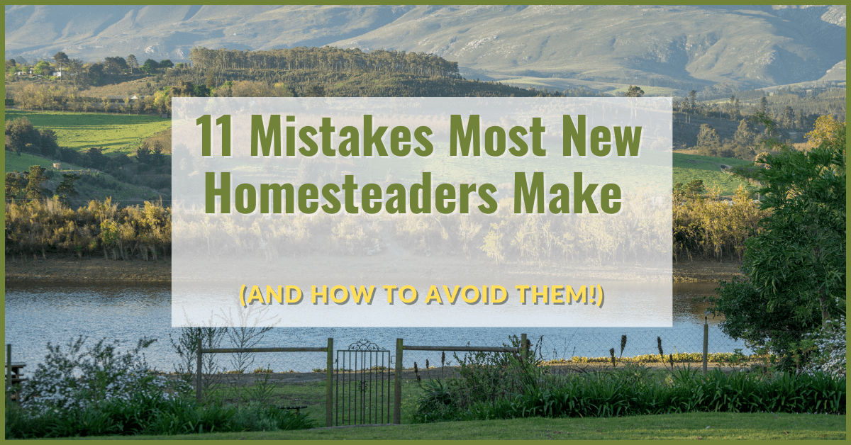 11 Mistakes Most New Homesteaders Make (and how to avoid them)
