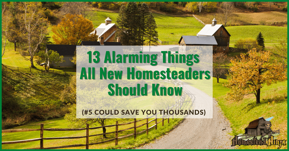 13 Alarming Things All New Homesteaders Should Know