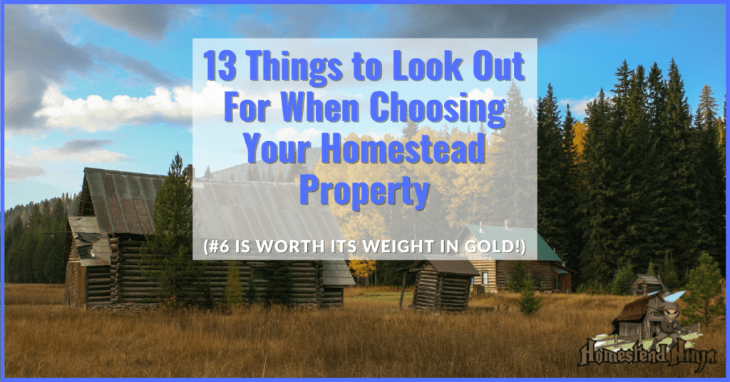 13 Things to Look Out For When Choosing Your Homestead Property (#6 is ...