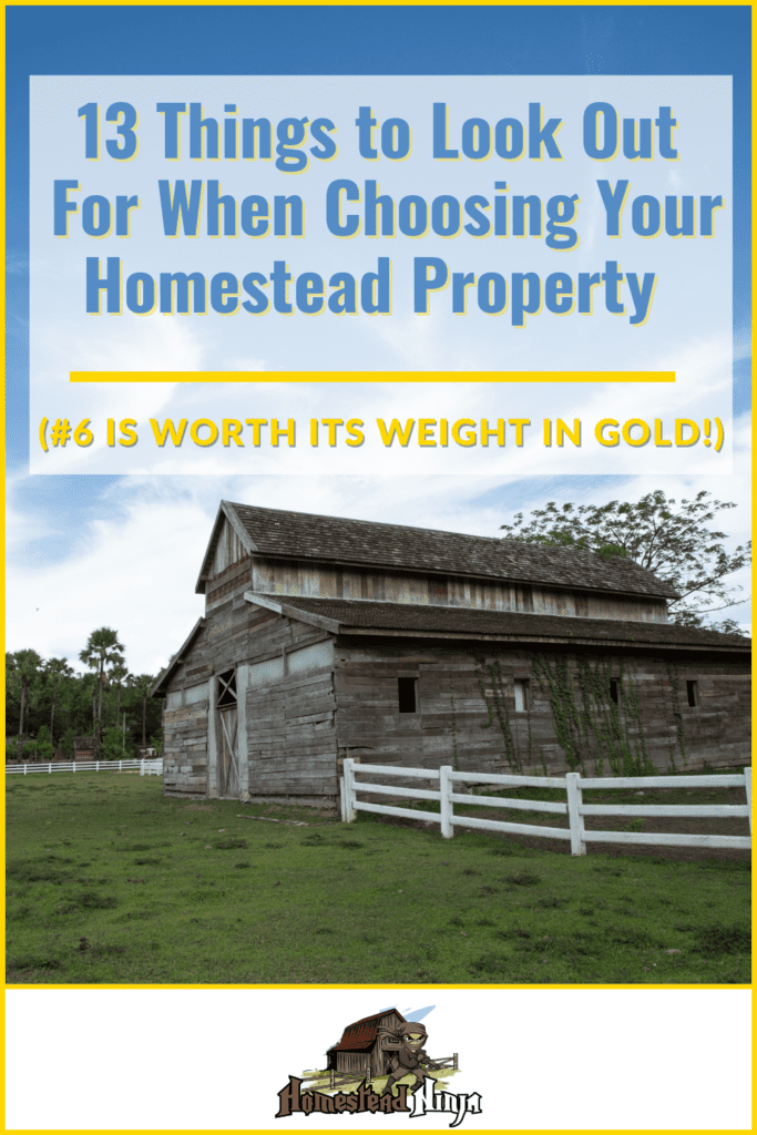 13 Things to Look Out For When Choosing Your Homestead Property (#6 is worth its weight in GOLD!) - Pinterest