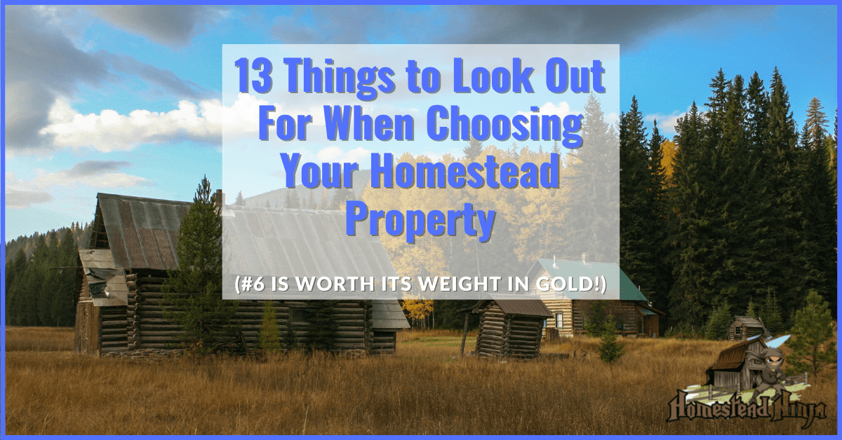 13 Things to Look Out For When Choosing Your Homestead Property (#6 is worth its weight in GOLD!)