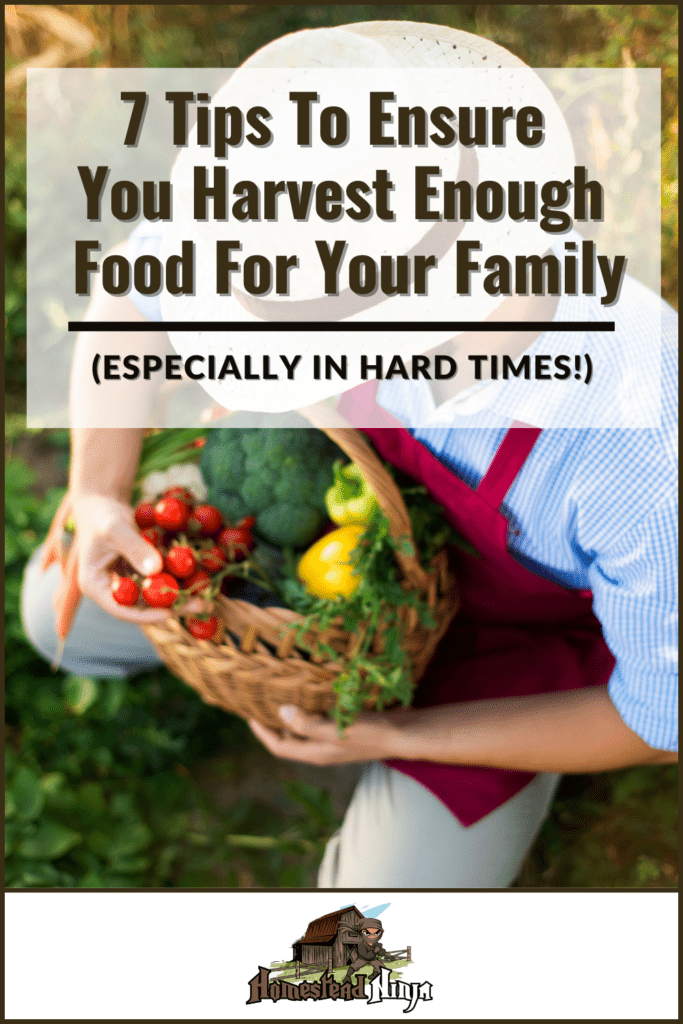 7 Tips To Ensure You Harvest Enough Food For Your Family - Pinterest