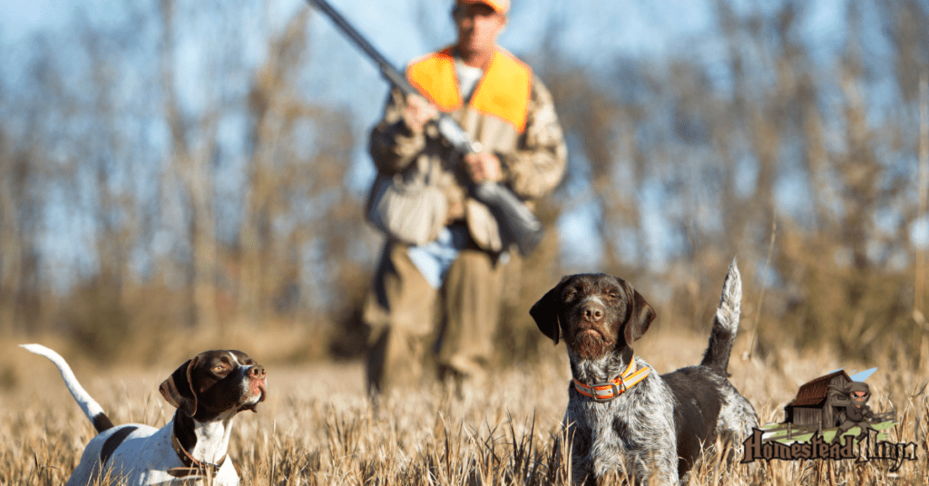 Am I Able to HUNT & FISH On My Property?