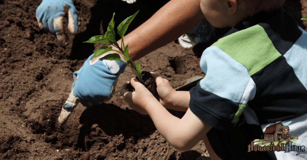 Homestead Gardening 101 (getting started)