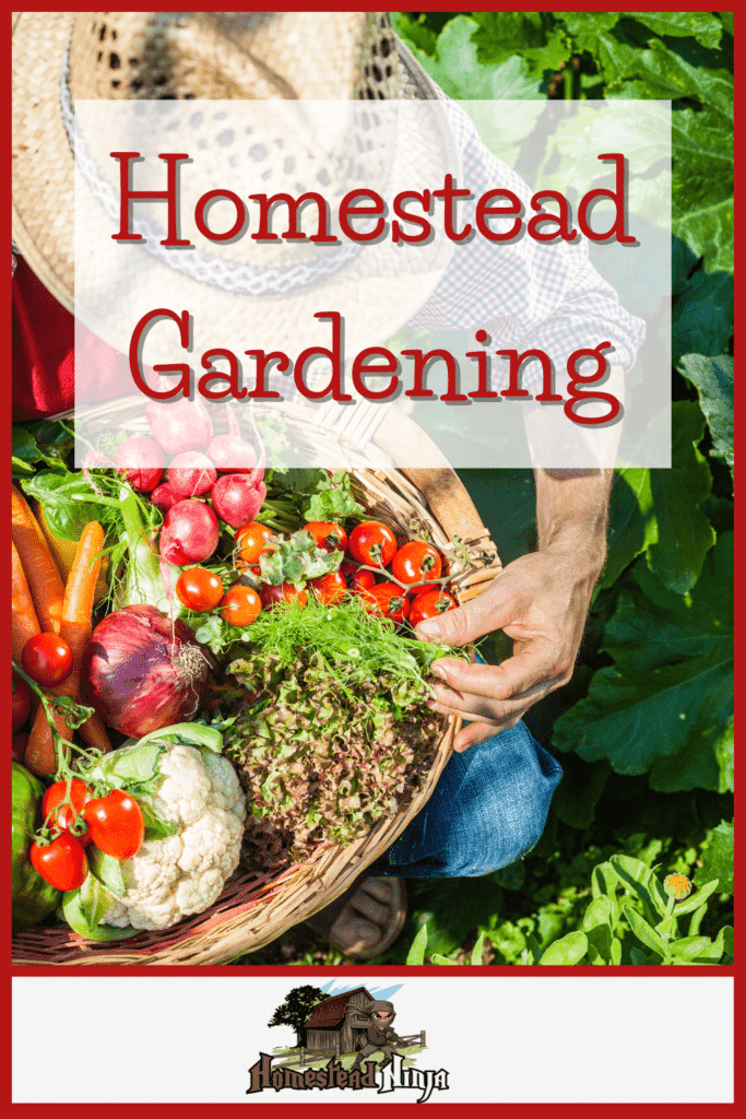 Homestead Gardening - Pinterest