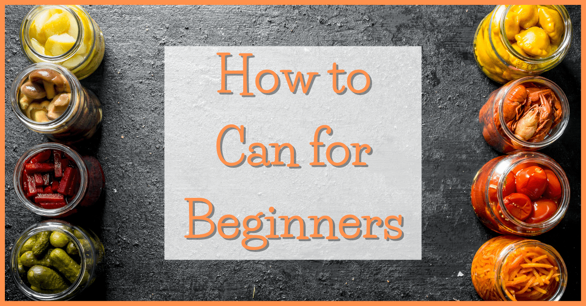 How to Can for Beginners