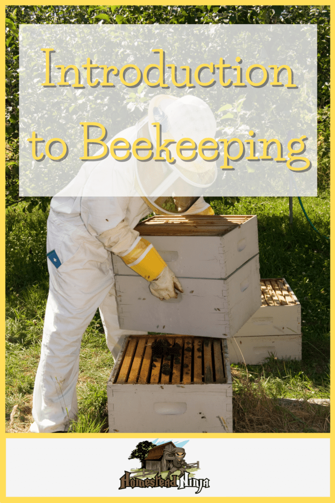 Introduction to Beekeeping - Pinterest