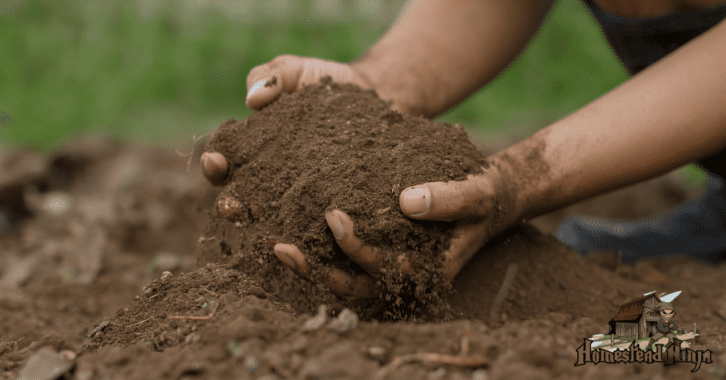 Is The SOIL Composition Geared For Harvesting Success?