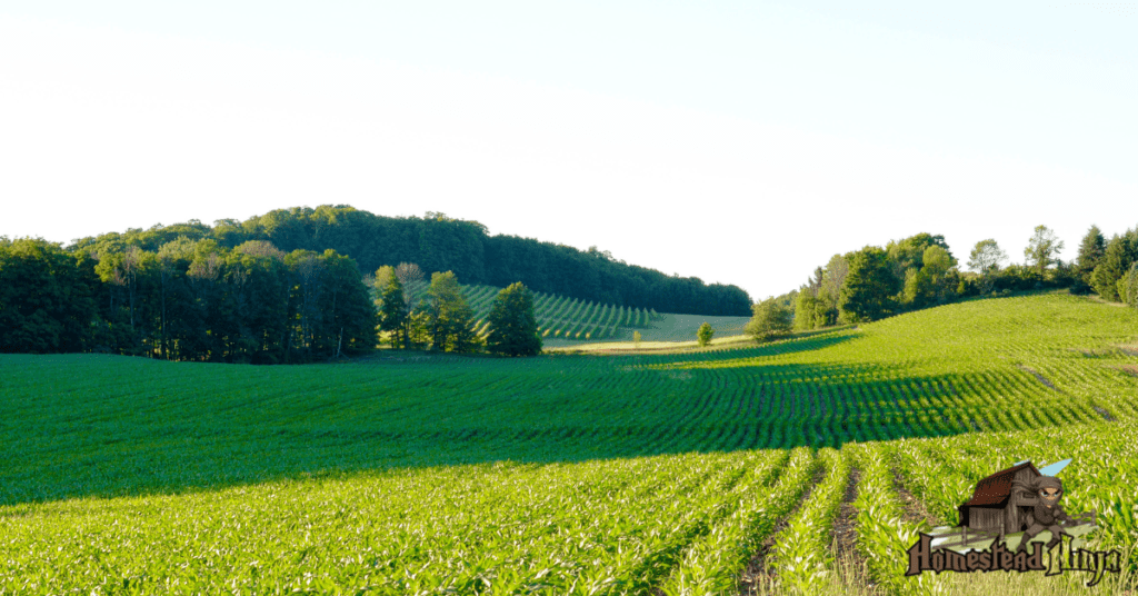 Is There SUFFICIENT ACREAGE for your FAMILY SIZE?