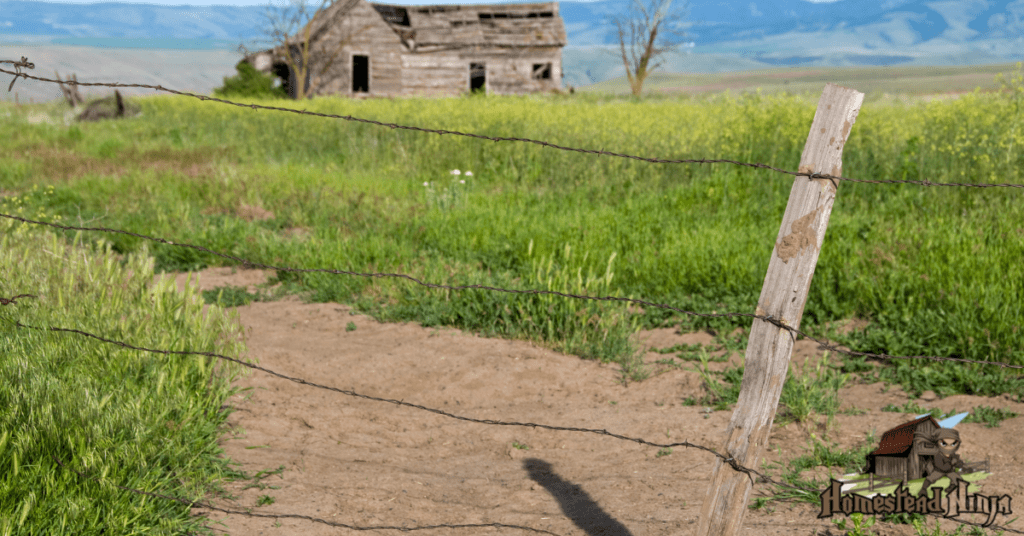 Mistake #2 Not Having A FENCE BUILT before Bringing Home Livestock