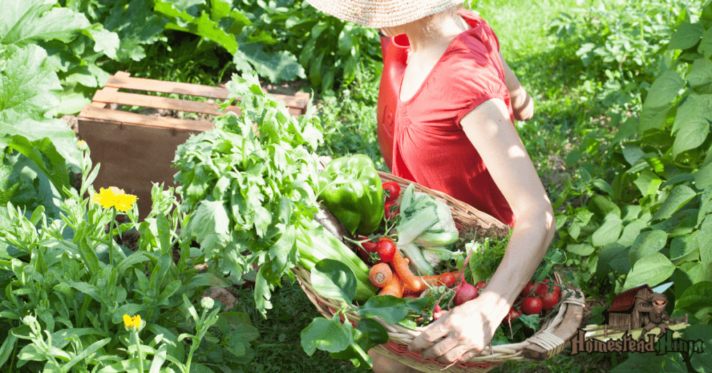 Mistake #5 Growing Way TOO MUCH Food