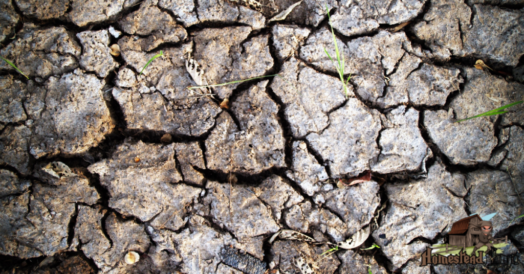 Mistake #7 Choosing A Horrible Homesteading LOCATION