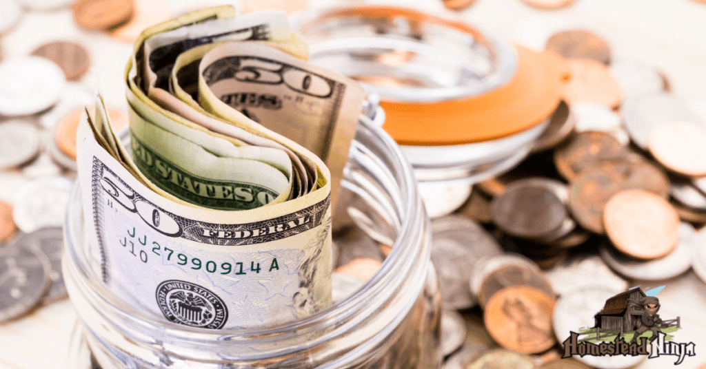 You Don’t Have To Be Rich… But Homesteading Is NOT Cheap