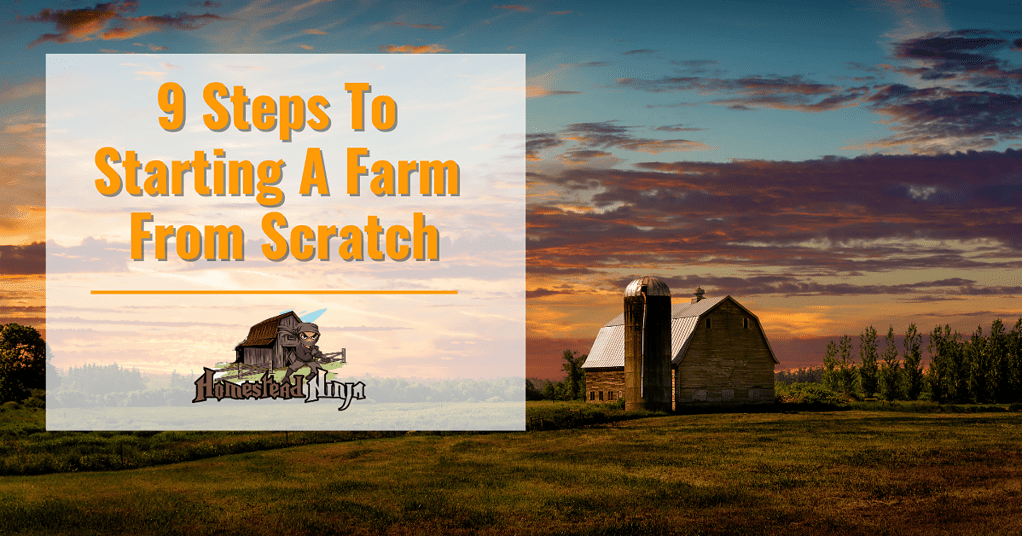 9 Steps To Starting A Farm From Scratch