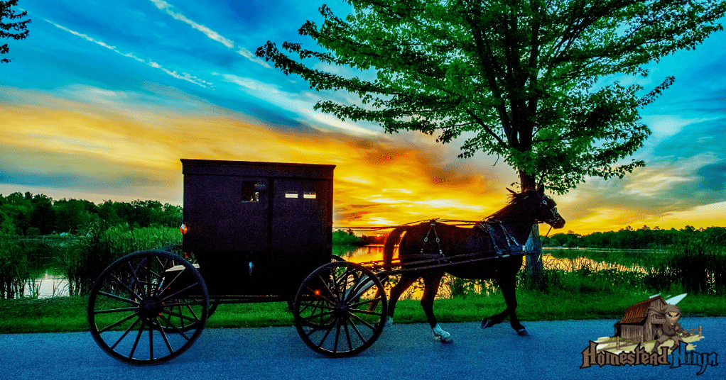 Are Amish Sheds Worth It?