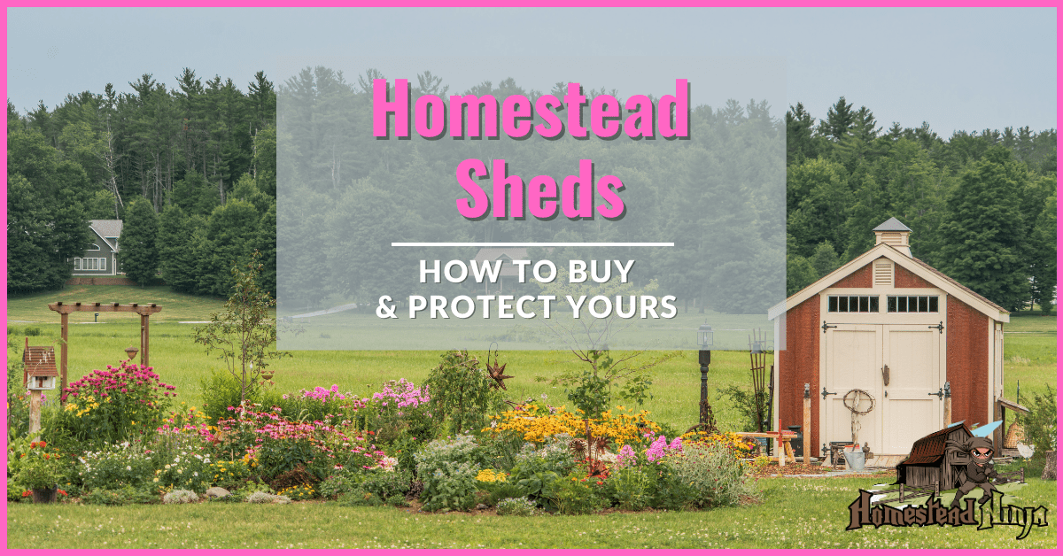 Homestead Sheds (how to buy & protect yours)