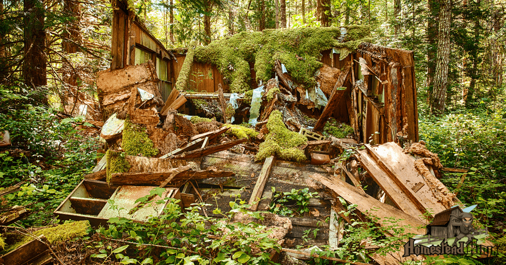 How Do I Stop My Shed From Rotting?