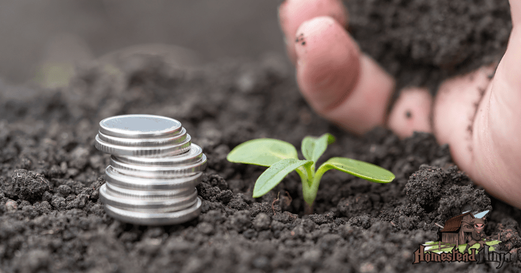 How Much Does It Cost To Start A Homestead?