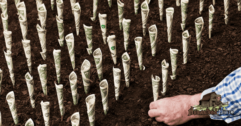 How Much Money Does It Cost To Start A Small Farm?