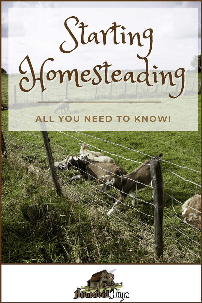Starting Homesteading (All You Need To Know!) - Pinterest