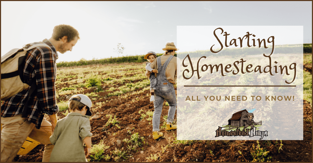 Starting Homesteading (All You Need To Know!)