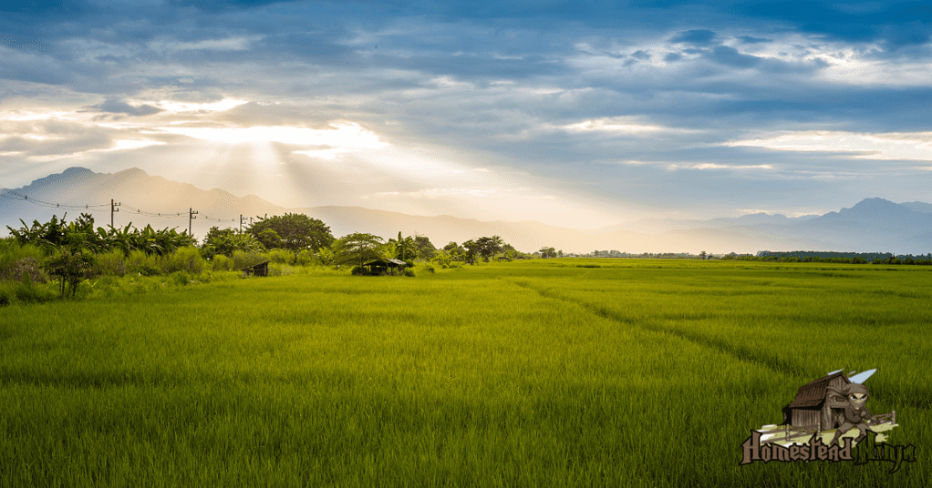 How Can I Claim Land For Free?