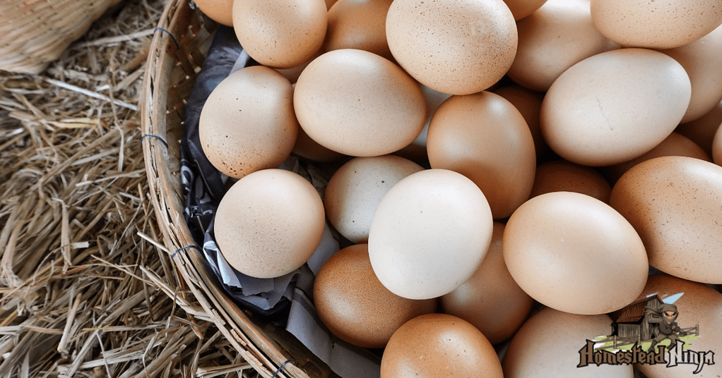 How Long Do Fresh Eggs Last?