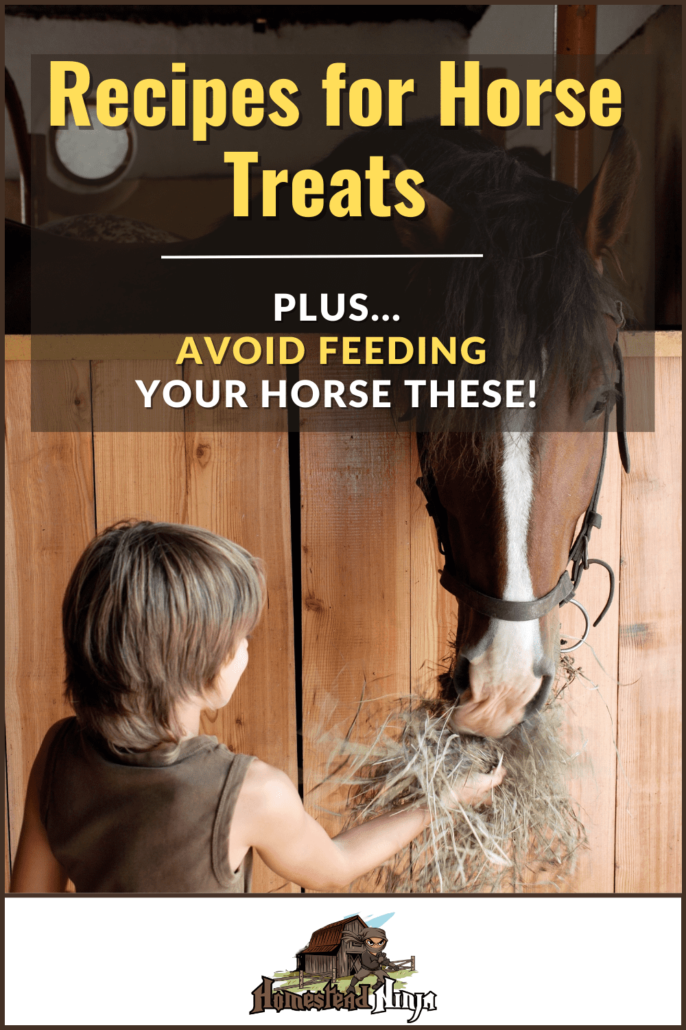 Recipes for Horse Treats - Pinterest