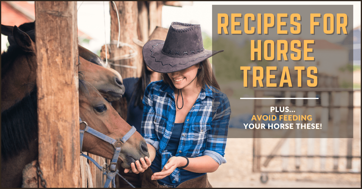 Recipes for Horse Treats